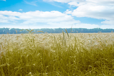 Similar image 714871