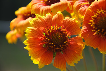 Similar image 714872