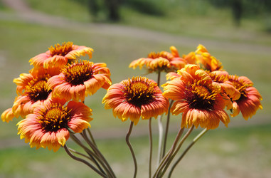 Similar image 714873