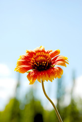 Similar image 714875