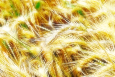 Similar image 714877