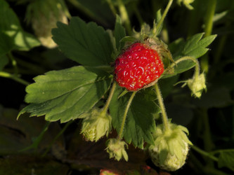 Similar image 714894