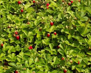 Similar image 714896