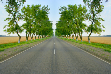 Similar image 714898