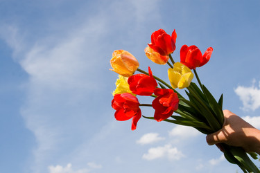 Similar image 714906