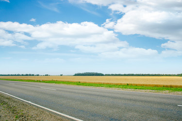 Similar image 714907