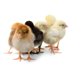 Similar image 714909