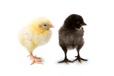 Similar image 714911