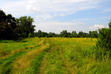 Similar image 714920