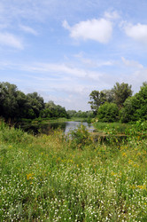 Similar image 714921