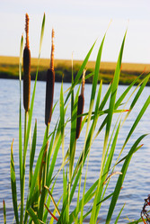 Similar image 714928