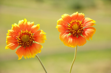 Similar image 714930