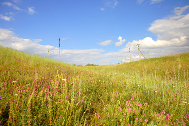 Similar image 714931