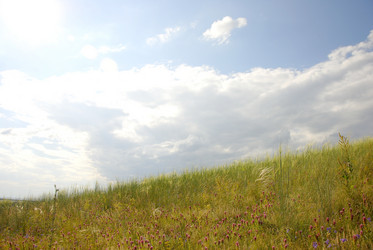 Similar image 714932