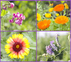 Similar image 715001