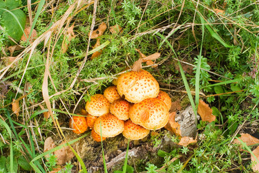 Similar image 715030