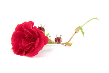 Similar image 715052