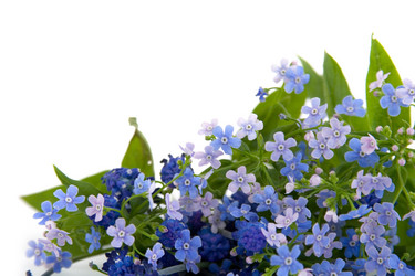 Similar image 715073