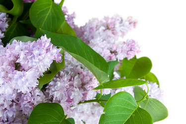 Similar image 715077