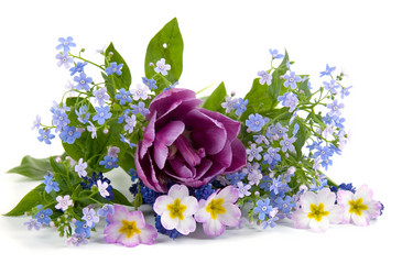 Similar image 715080