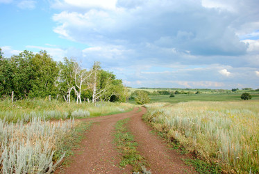 Similar image 715100