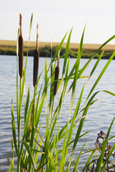 Similar image 715114