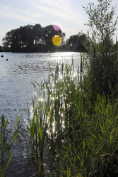 Similar image 715116