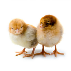 Similar image 715122