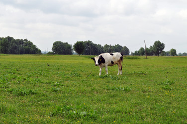 Similar image 715128