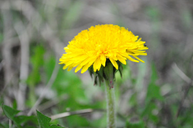 Similar image 715129