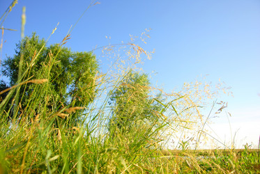 Similar image 715132