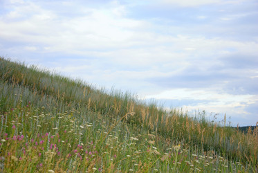 Similar image 715133