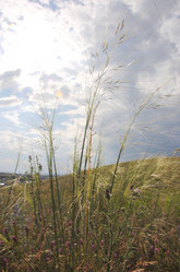 Similar image 715135