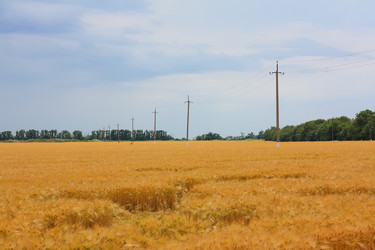 Similar image 715139