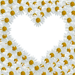 Similar image 715141