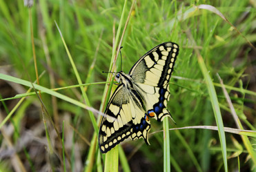 Similar image 715145