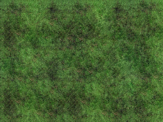 Similar image 715171