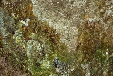 Similar image 715177