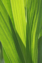 Similar image 715194