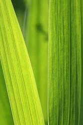 Similar image 715195