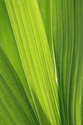 Similar image 715196