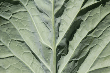 Similar image 715199