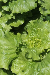 Similar image 715200