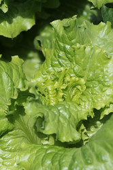 Similar image 715201