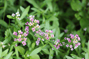 Similar image 715208