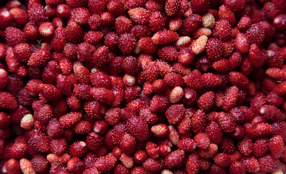 Similar image 715256