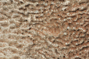 Similar image 715427