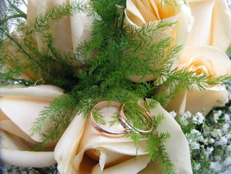 Similar image 715437