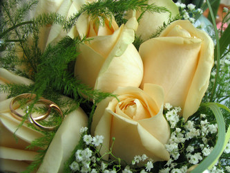 Similar image 715442