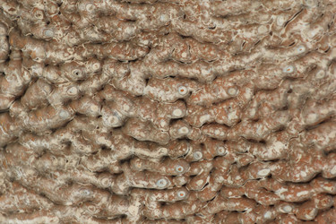 Similar image 715448